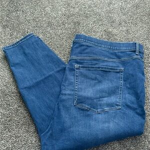 Lane Bryant Deep Blue Denim Pants